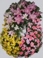/album/coronas-de-flores/corona-4-jpg/